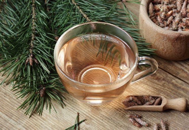 A glass cup of Pine Needle Tea with pine tree needle part and a spoon of spices and nuts next to it, in an article on Pine Needle Tea benefits, uses, and recipes.