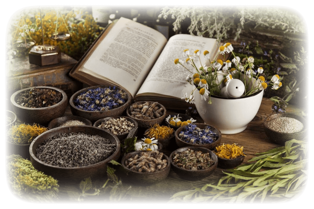 Fresh medicinal, healing herbs on wooden table, on the page About BalkanHerb herbal shop brand's story.