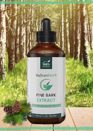 A photo of a bottle of Pine Bark Extract by BalkanHerb, representing an article about its science-backed benefits and uses.